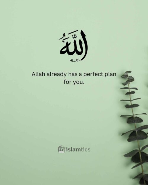 Allah Already Has A Perfect Plan For You Islamtics