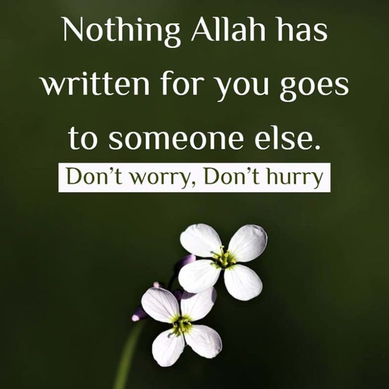 Nothing Allah has written for you goes to someone else. Don’t worry, Don’t hurry