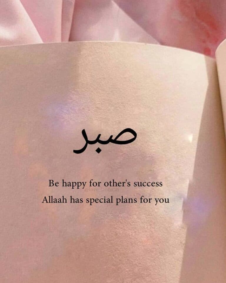 Be happy for other’s success Allah has special plan for you.
