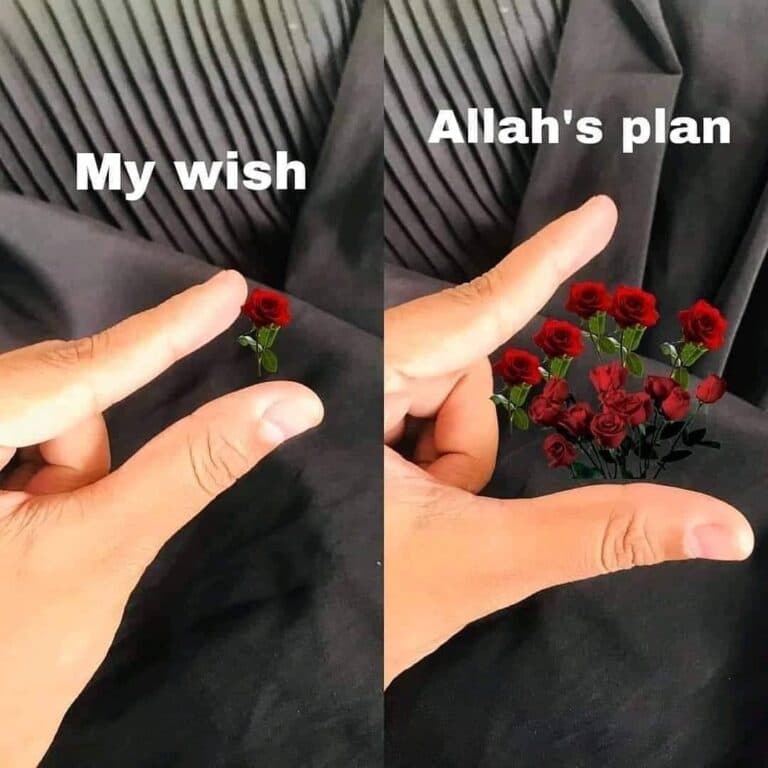 Allah’s plan is the best.