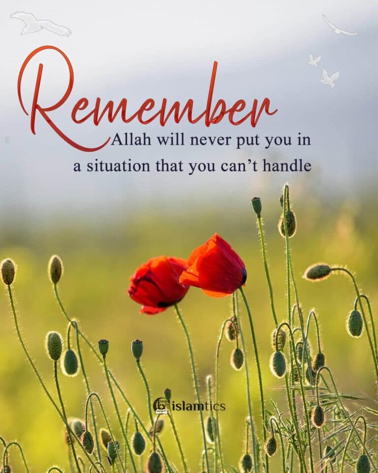Allah will never put you in a situation that you can’t handle.