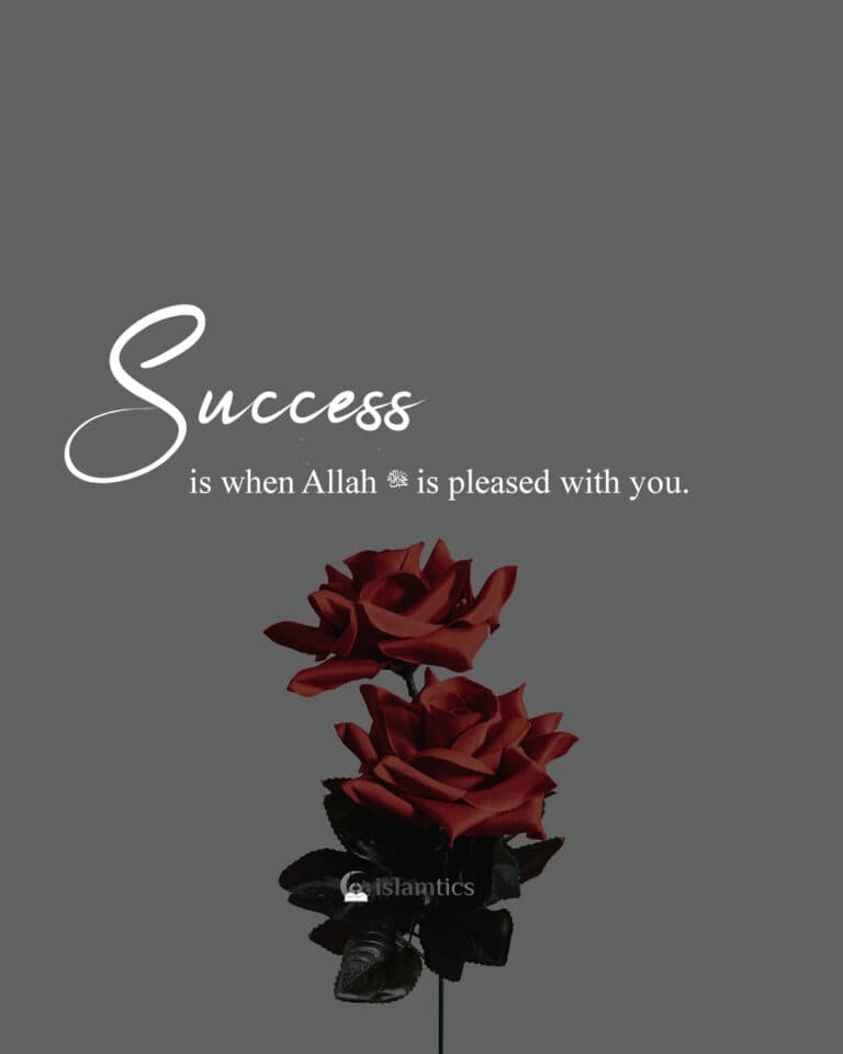 success is when Allah is pleased with you.
