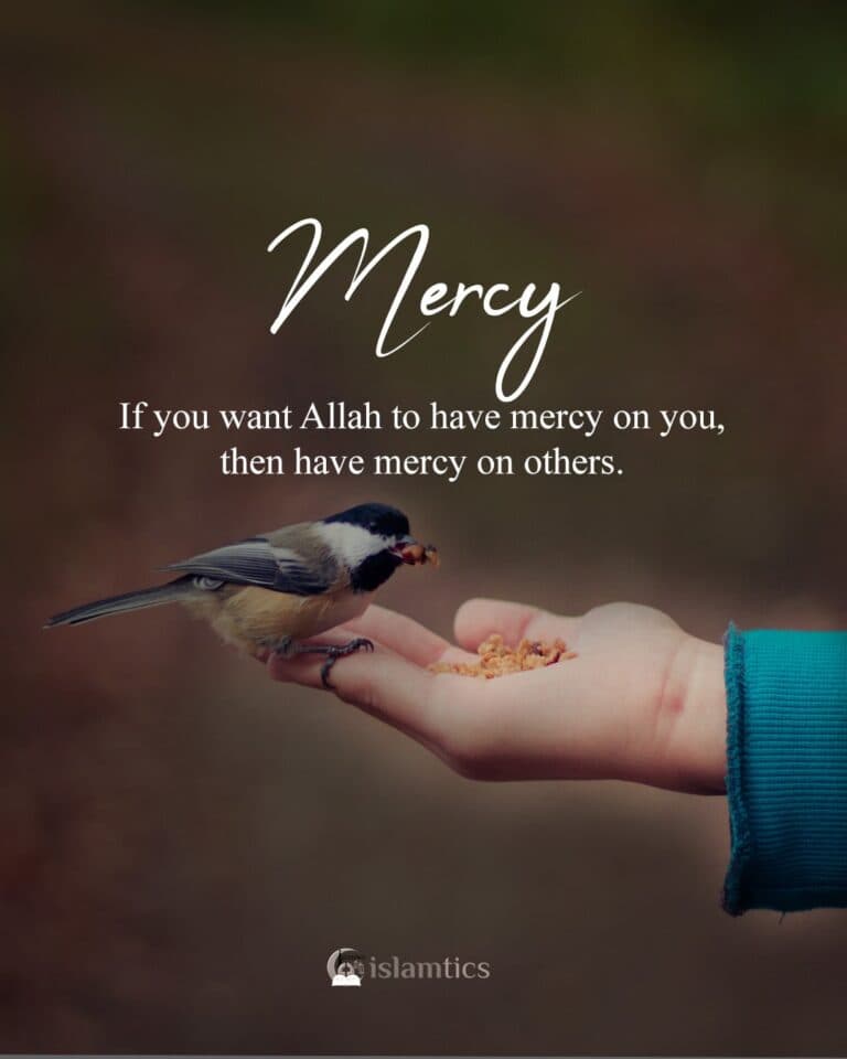 If you want Allah to have mercy on you, then have mercy on others.