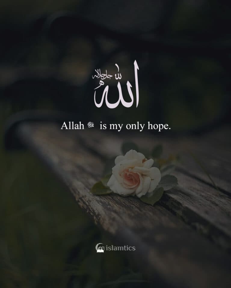 Allah جل جلاله is my only hope.