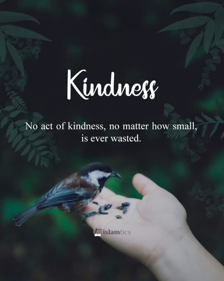 No act of kindness, no matter how small, is ever wasted.