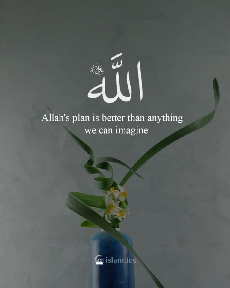 Allah’s plan is better than anything we can imagine.