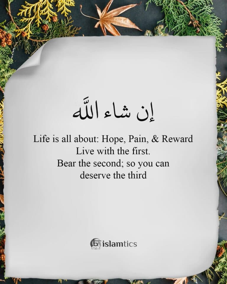 Life is all about: Hope, Pain, & Reward Live with the first. Bear the second; so you can deserve the third.