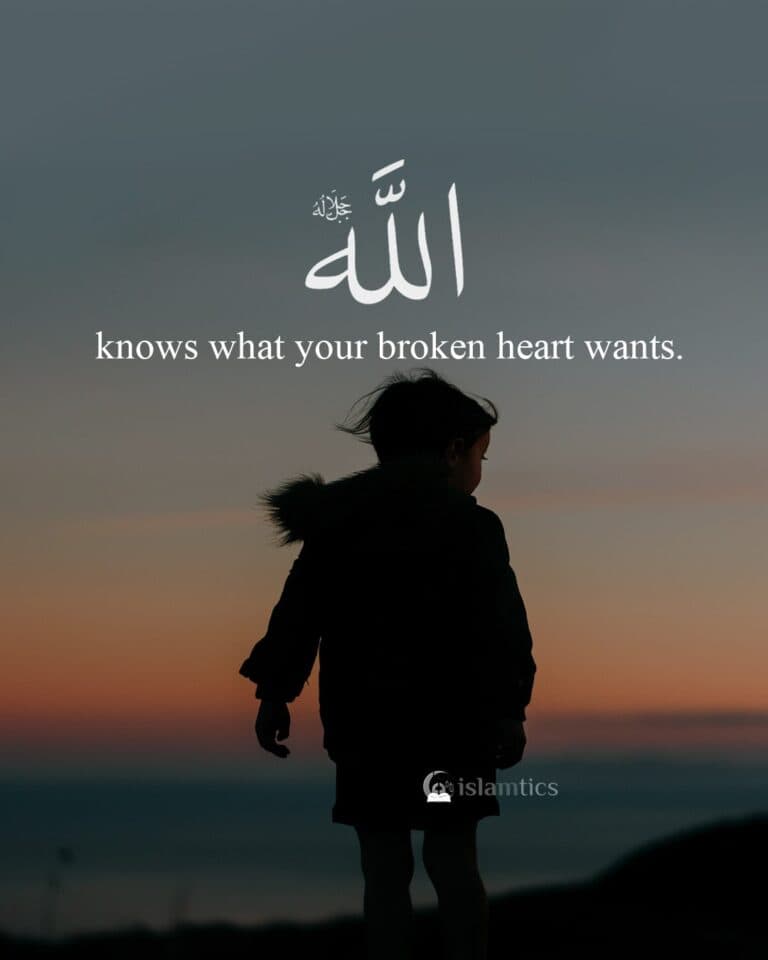 knows what your broken heart wants.