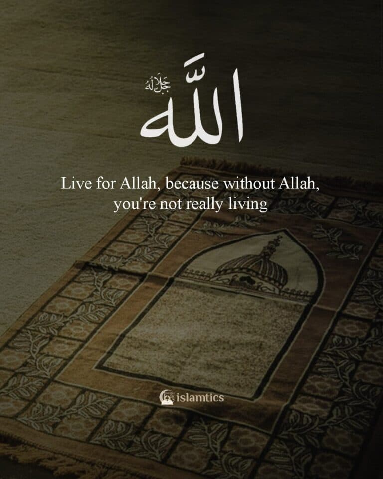 Live for Allah, because without Allah, you’re not really living