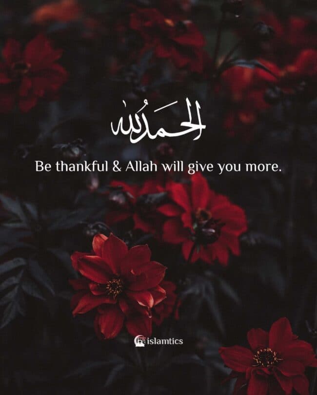 Be thankful & Allah will give you more.