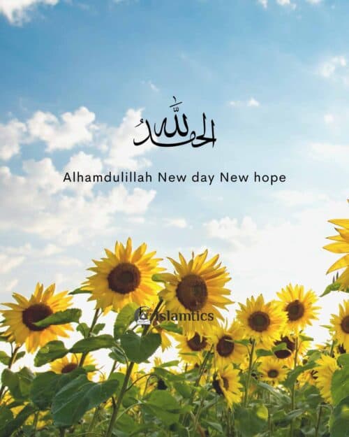 Alhamdulillah New day New hope