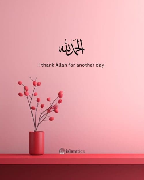 I thank Allah for another day.