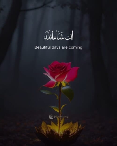 Beautiful days are coming inshaAllah