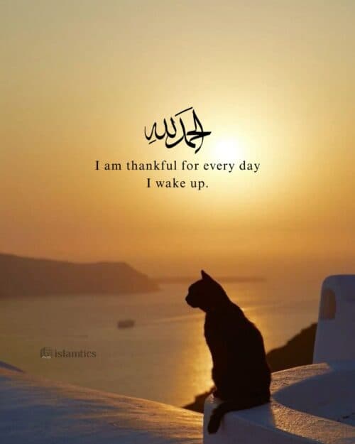 I am thankful for every day I wake up.