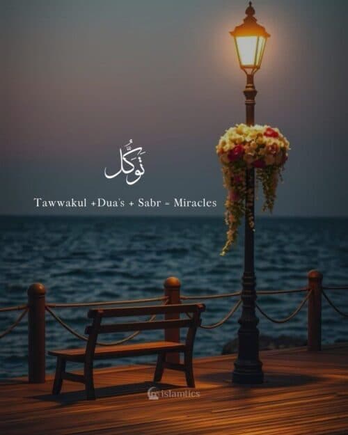 Tawwakul +Dua’s + Sabr = Miracles