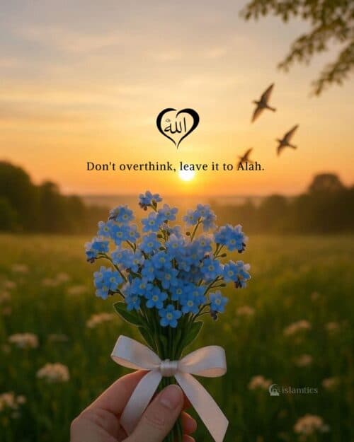 Don’t overthink, leave it to Alah.