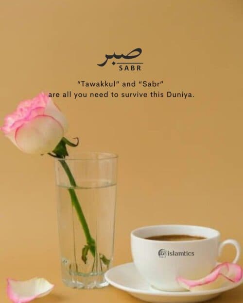 “Tawakkul”and “Sabr” are all you need to survive this Duniya. “Tawakkul”and “Sabr” are all you need to survive this Duniya.
