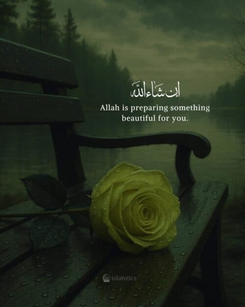 Allah is preparing something beautiful for you. Allah is preparing something beautiful for you.