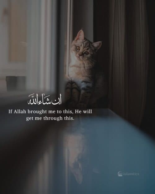 If Allah brought me to this, He will get me through this. If Allah brought me to this, He will get me through this.