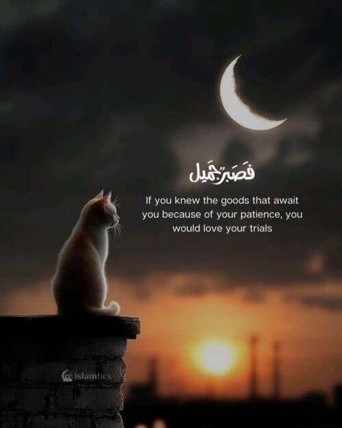 If you knew the goods that await you because of your patience, you would love your trials If you knew the goods that await you because of your patience, you would love your trials