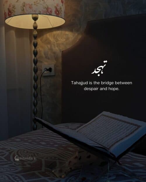 Tahajjud is the bridge between despair and hope. Tahajjud is the bridge between despair and hope.