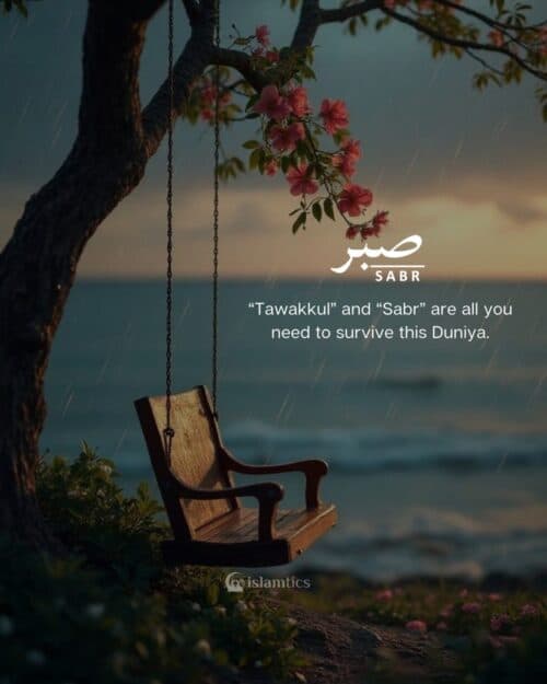 “Tawakkul” and “Sabr” are all you need to survive this Duniya. “Tawakkul” and “Sabr” are all you need to survive this Duniya.