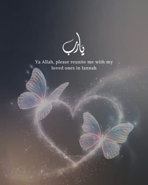 Ya Allah, please reunite me with my loved ones in Jannah Ya Allah, please reunite me with my loved ones in Jannah