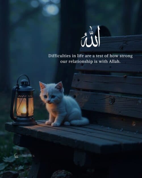 Difficulties in life are a test of how strong our relationship is with Allah. Difficulties in life are a test of how strong our relationship is with Allah.