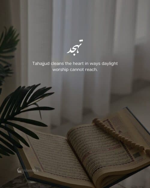 Tahajjud cleans the heart in ways daylight worship cannot reach. Tahajjud cleans the heart in ways daylight worship cannot reach.