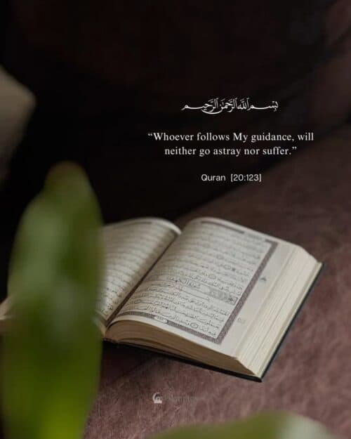 “Whoever follows My guidance, will neither go astray nor suffer.” “Whoever follows My guidance, will neither go astray nor suffer.”