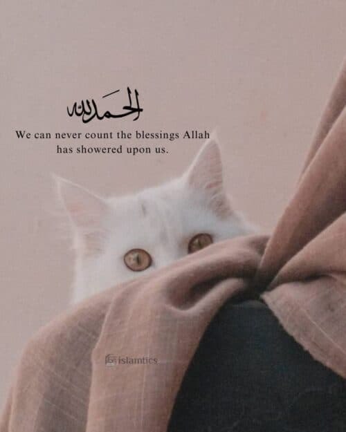 We can never count the blessings Allah has showered upon us. We can never count the blessings Allah has showered upon us.