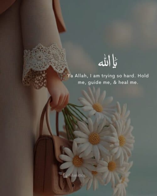 Ya Allah, I am trying so hard. Hold me, guide me, & heal me. Ya Allah, I am trying so hard. Hold me, guide me, & heal me.