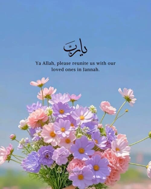 Ya Allah, please reunite me with my loved ones in Jannah. Ya Allah, please reunite me with my loved ones in Jannah.