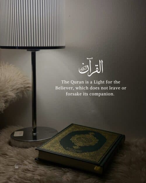 The Quran is a Light for the Believer, which does not leave or forsake its companion. The Quran is a Light for the Believer, which does not leave or forsake its companion.