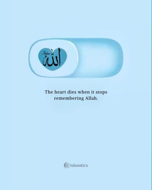 The heart dies when it stops remembering Allah. The heart dies when it stops remembering Allah.