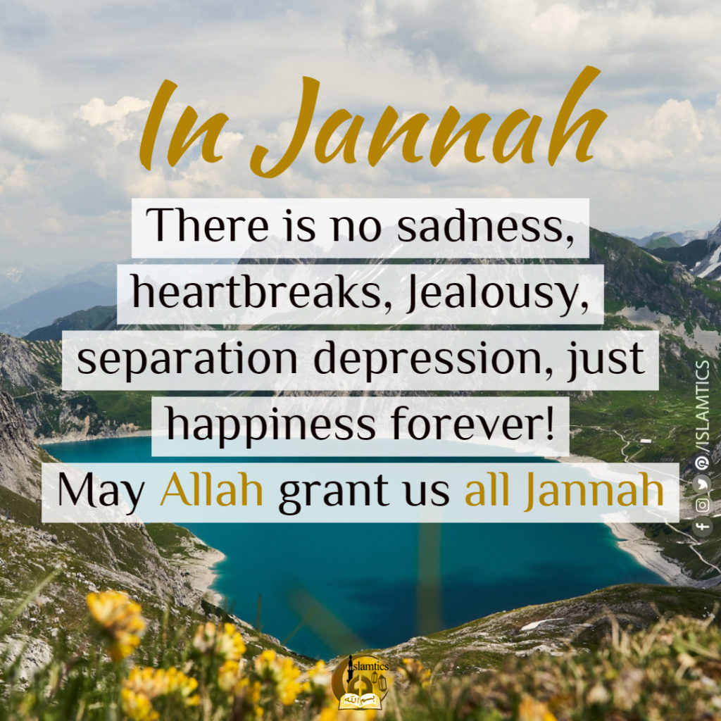 In Jannah, there is no sadness, heartbreaks, Jealousy, separation depression, just happiness forever! May Allah grant us all Jannah