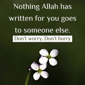 Nothing Allah has written for you goes to someone else. Don't worry, Don't hurry