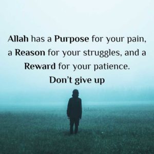 Allah has a Purpose for your pain, a Reason for your struggles, and a Reward for your patience. Don't give up