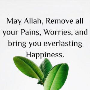 May Allah Remove all your Pains, and Worries