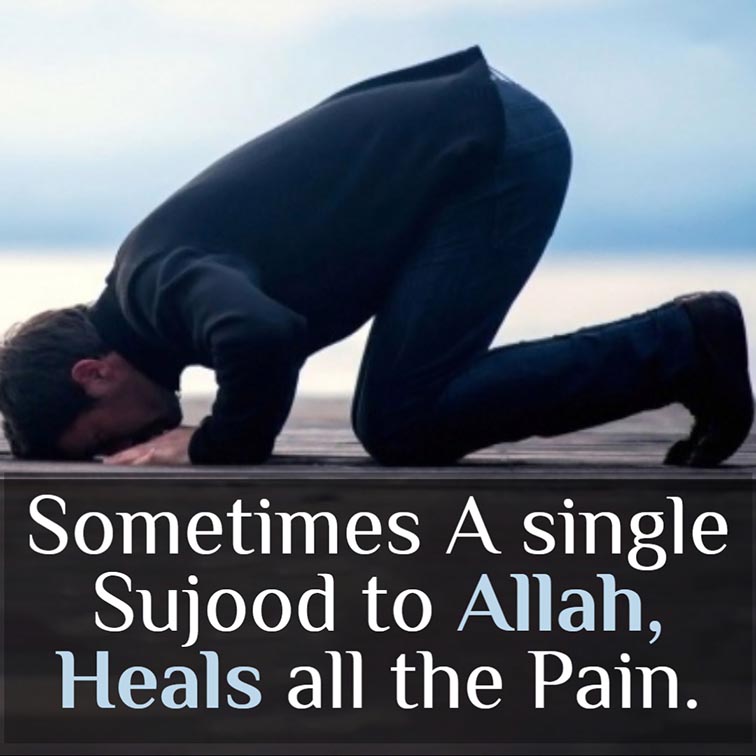 Sometimes a single Sujud to Allah heals all the pain
