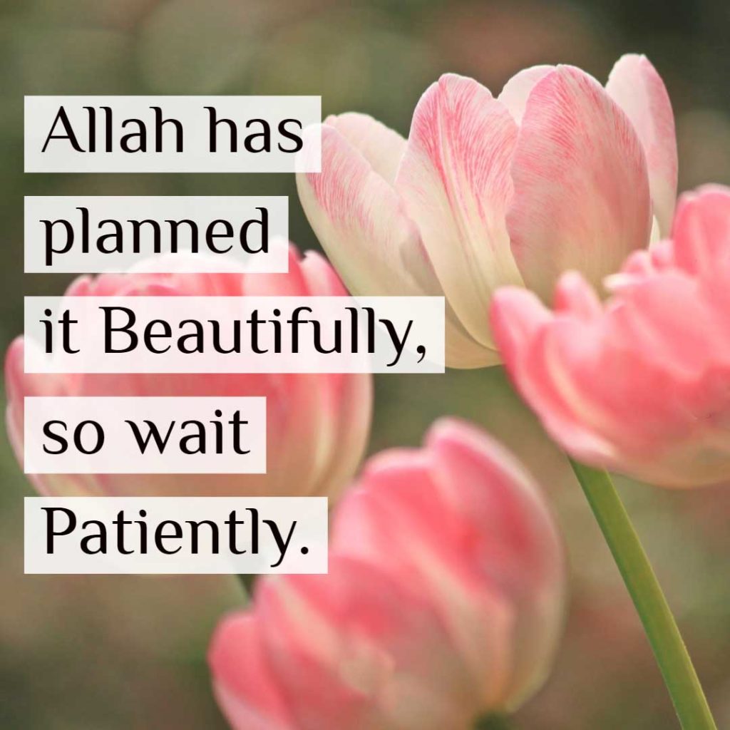Sabr, Allah has planned it beautifully