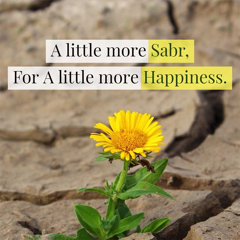 A Little more Sabr for a little more happiness