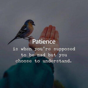Patience is when you're supposed to be mad but you choose to understand.