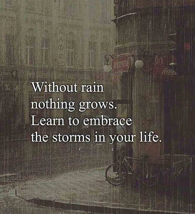 Embrace the storms in your life