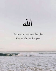 No one can destroy the plan Allah has for you.