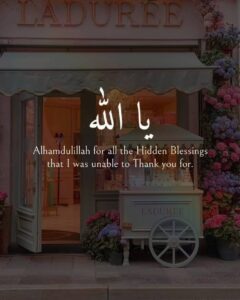 Alhamdulillah for all the Hidden Blessings that I was unable to Thank you for.