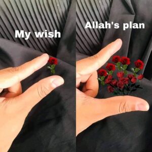 Allah's plan is the best