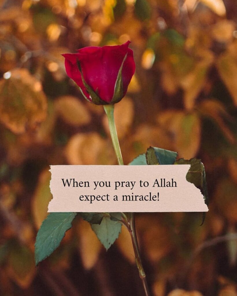When you pray to Allah expect a miracle
