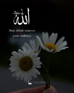 May Allah remove your sadness