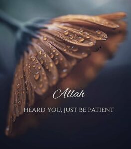 Allah Heard you just be patient